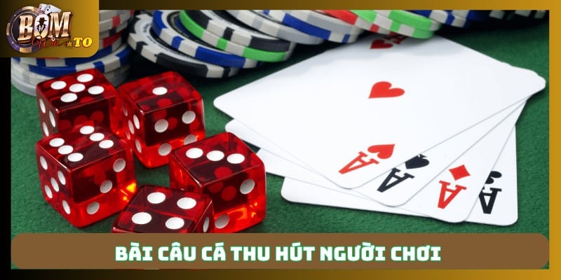 Bài câu cá thu hút người chơi