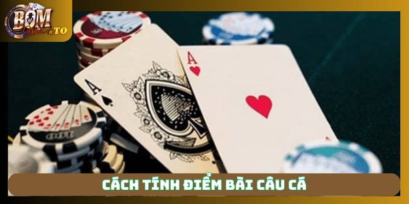 Cách tính điểm bài câu cá