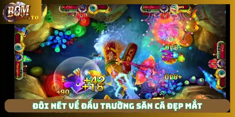 Đôi nét về Đấu Trường Săn Cá đẹp mắt