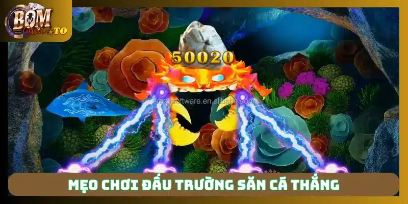 Mẹo chơi Đấu Trường Săn Cá thắng