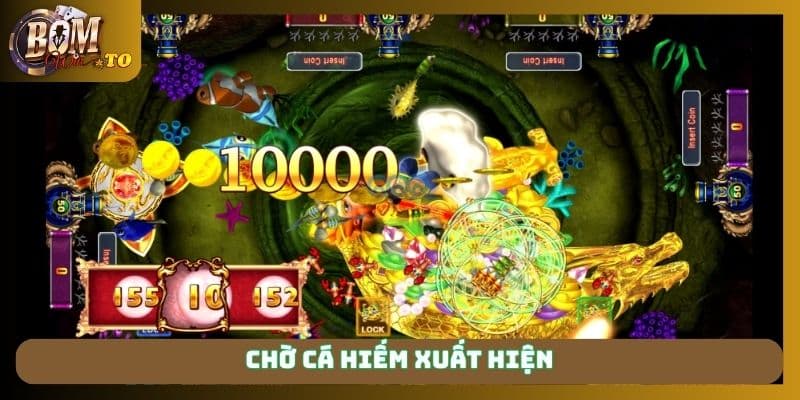 Chờ cá hiếm xuất hiện