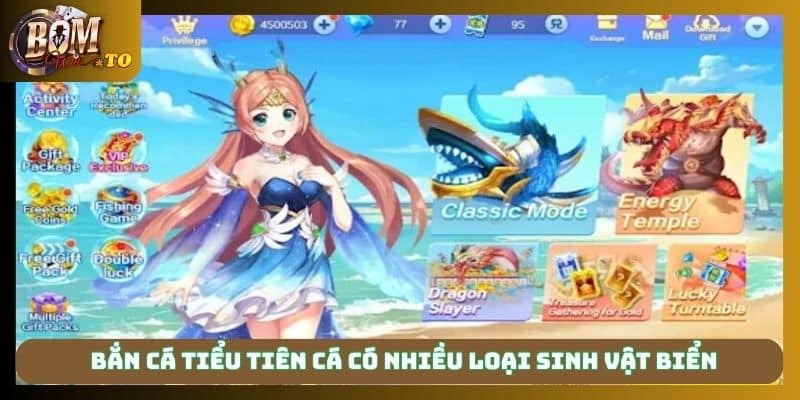 Bắn cá tiểu tiên cá có nhiều loại sinh vật biển