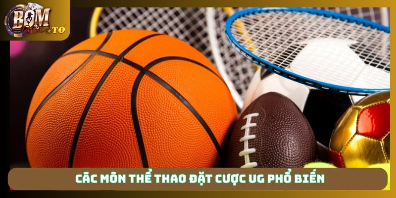 Các môn thể thao đặt cược United Gaming Bomwin phổ biến