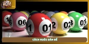 cách nuôi dàn đề