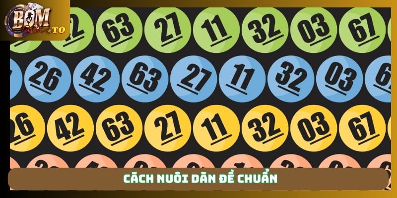 Cách nuôi dàn đề chuẩn