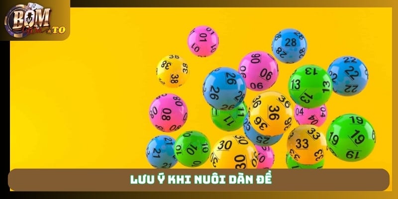 Lưu ý khi nuôi dàn đề