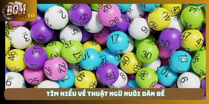 Tìm hiểu về thuật ngữ nuôi dàn đề