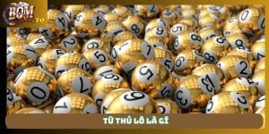 tứ thủ lô là gì